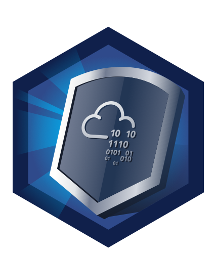 Shield Apprentice Badge