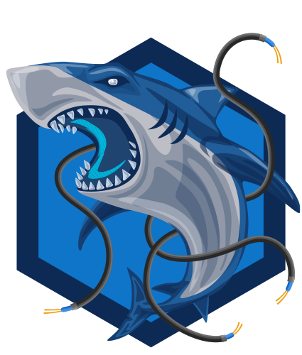 Wireshark Badge